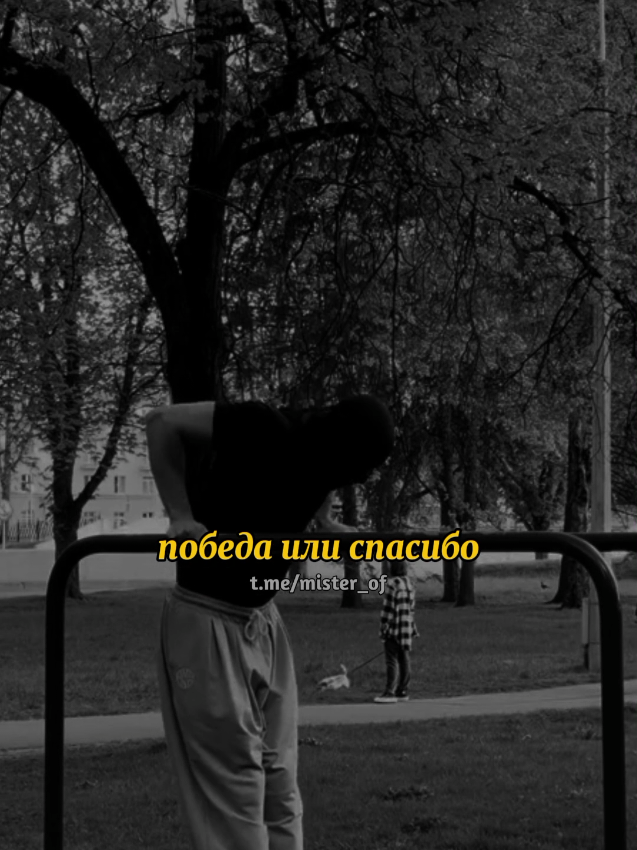 @тгк: Mister