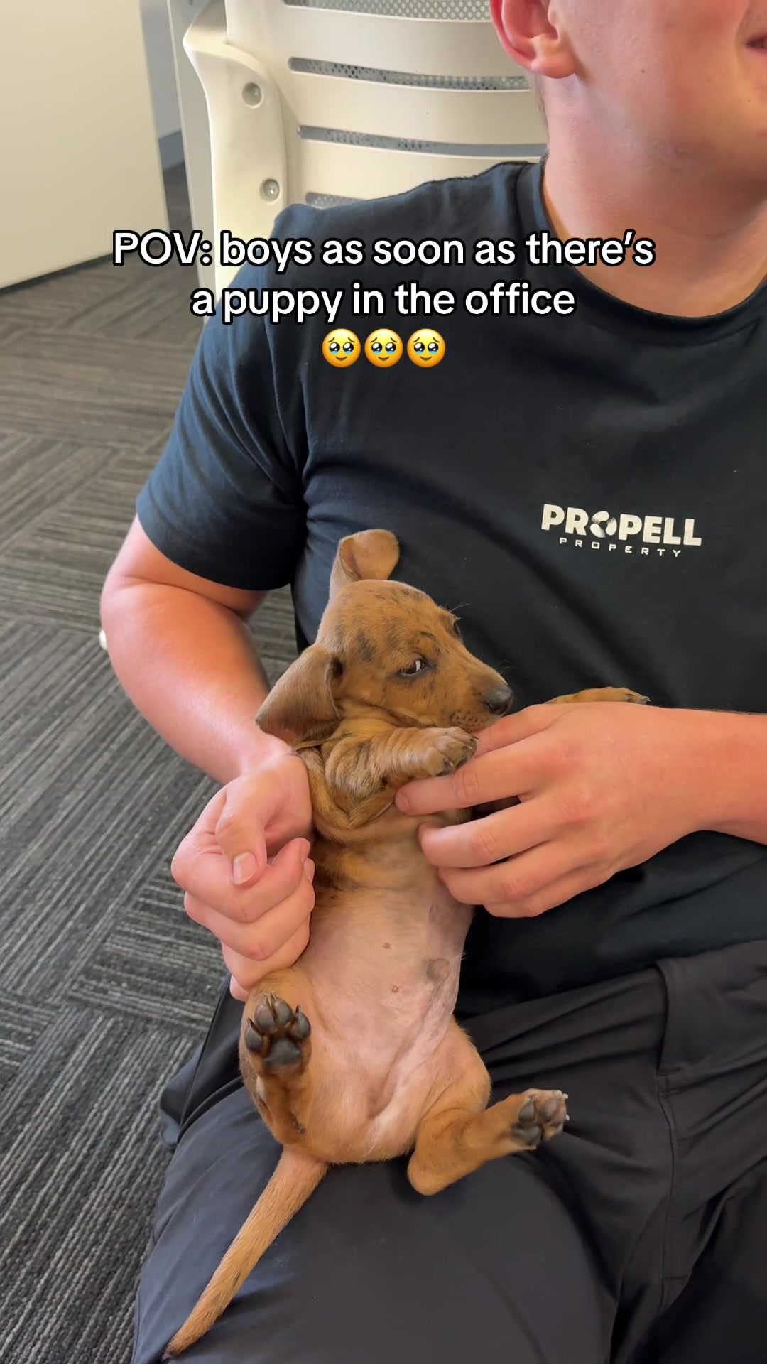 @Propell
