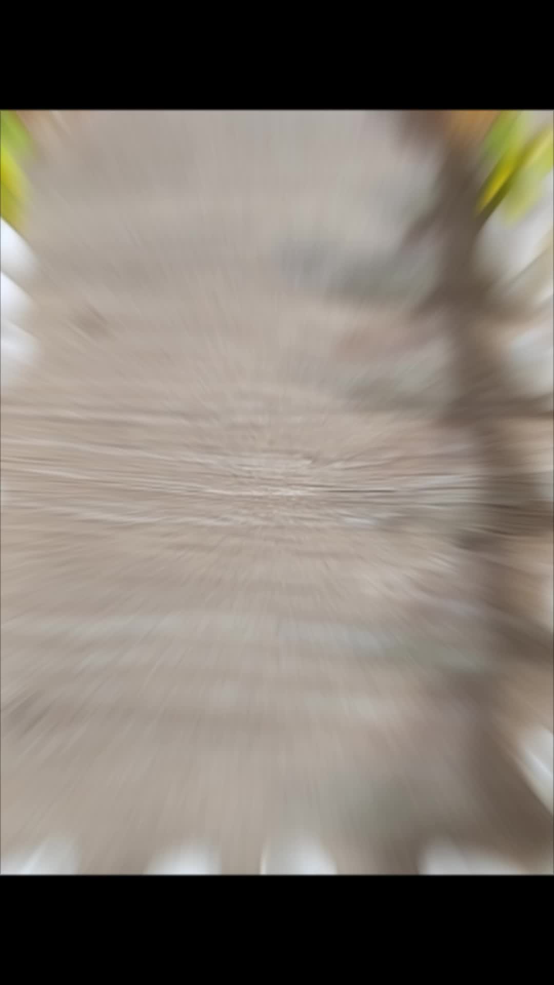@๐๐ซงโโทโธโถโโฝโถโโโพโบ๐ซง๐