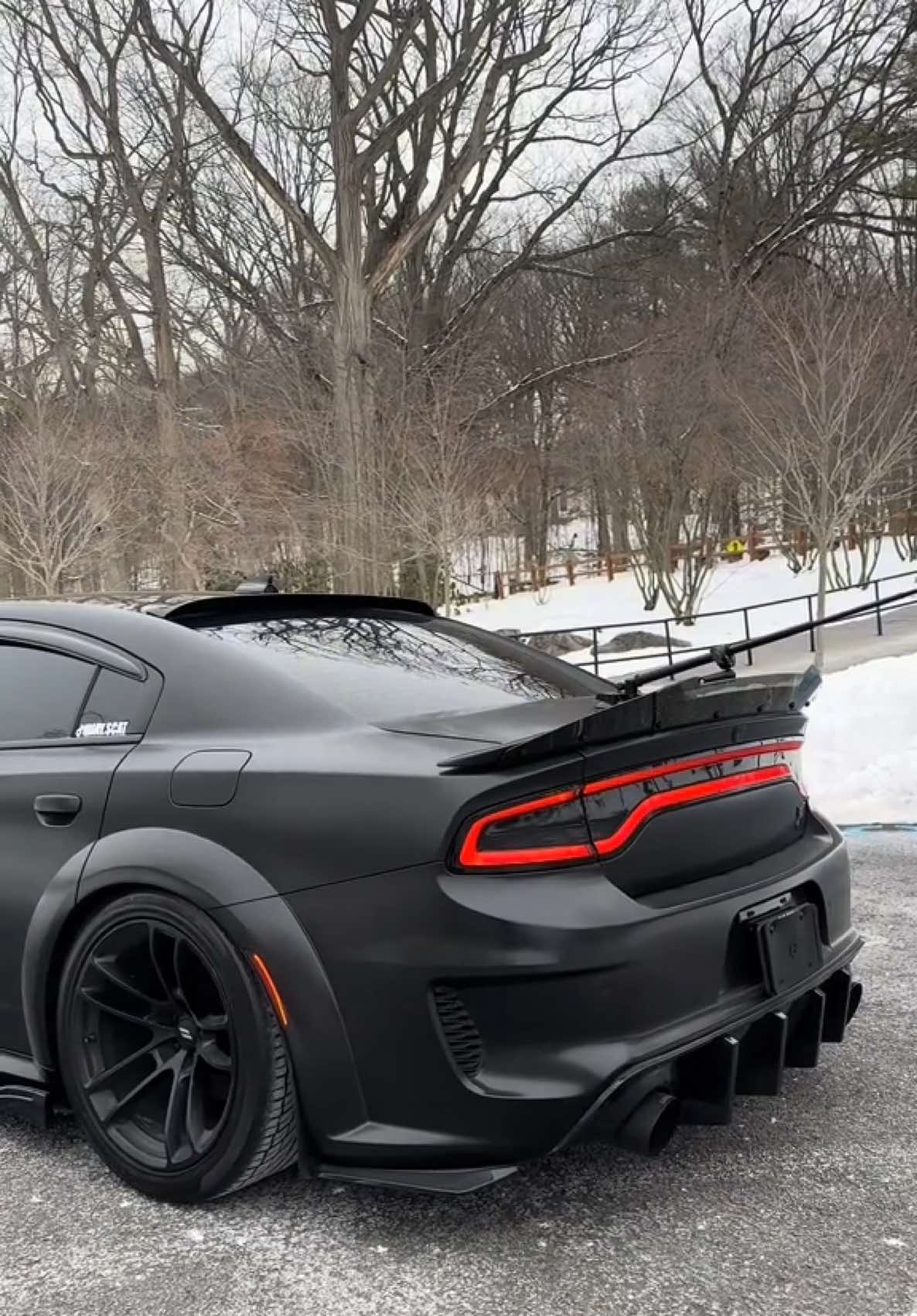 @D4RK.BEE 🦟