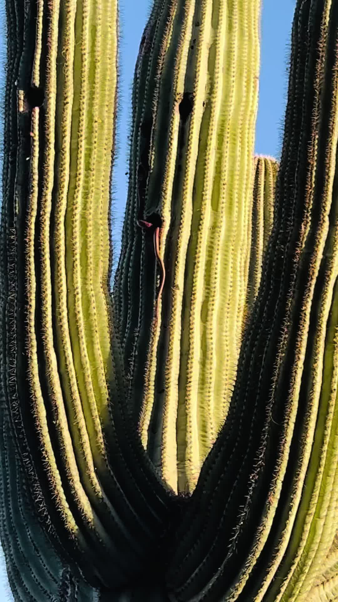 @UserTHX1138
