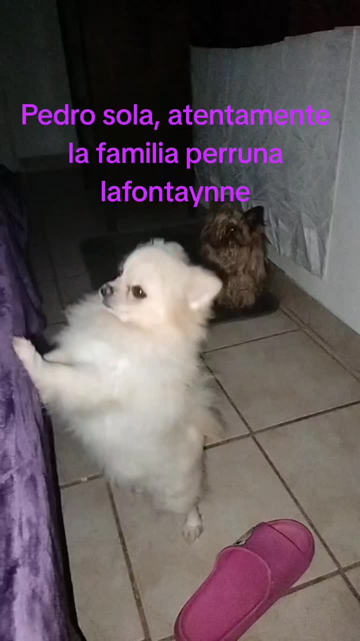 @Silvanna Lafontaynne