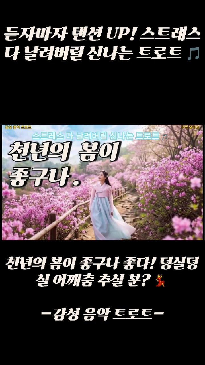 @감성 음악 트로트