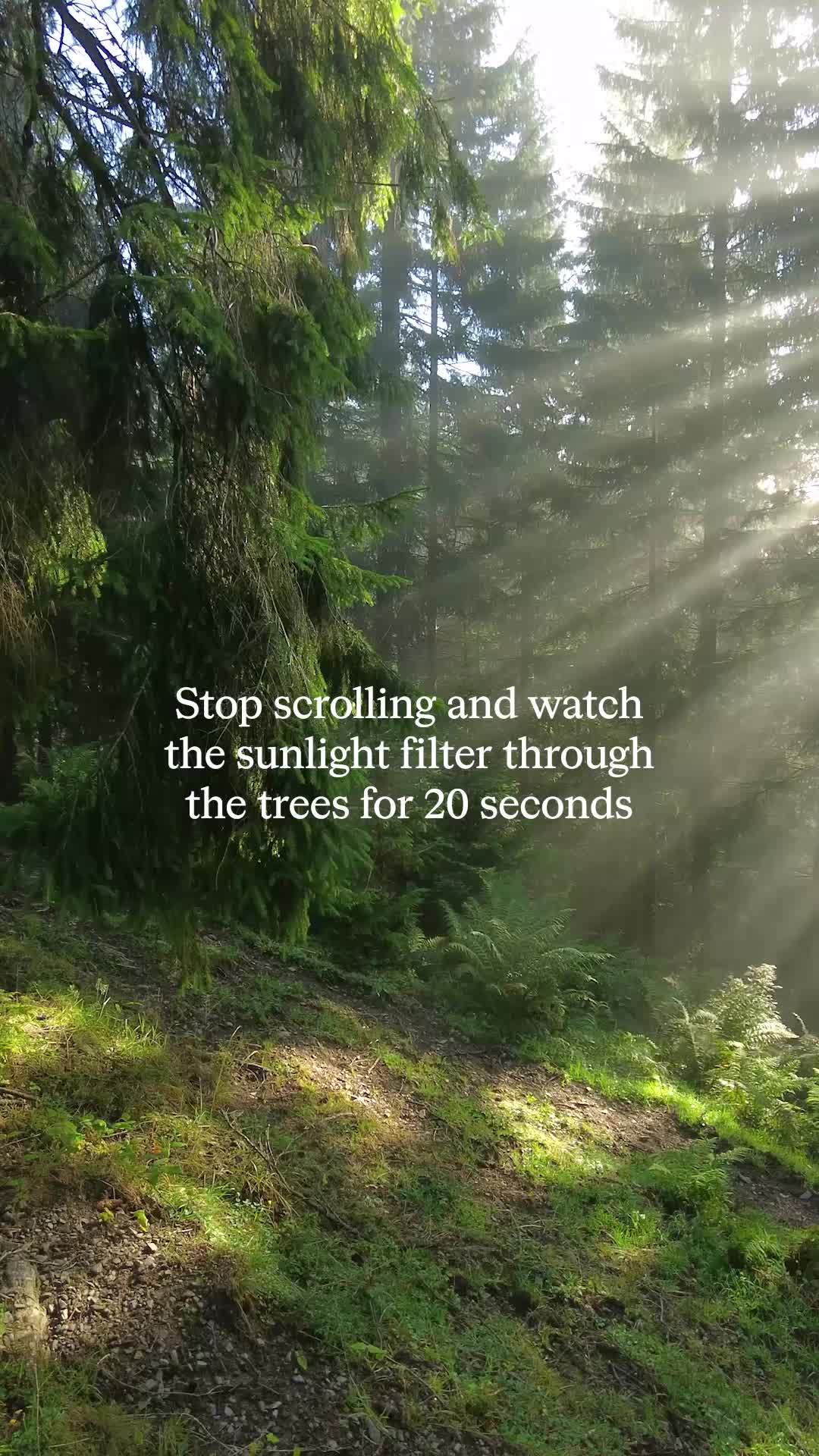 @Calm