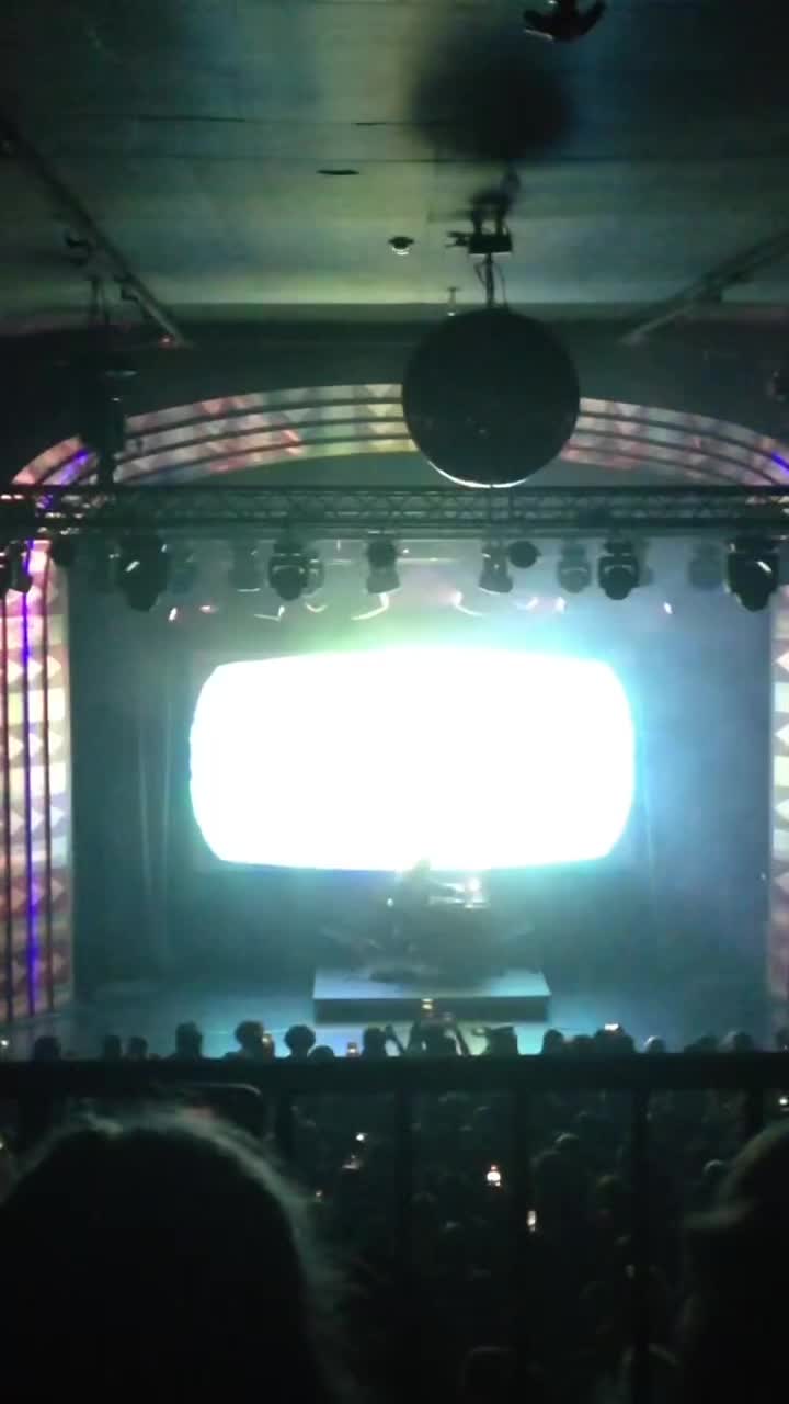 @meowcity