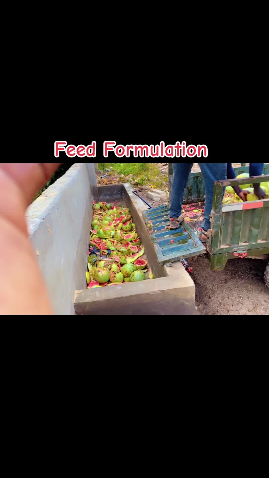 @STDFarms Ghana