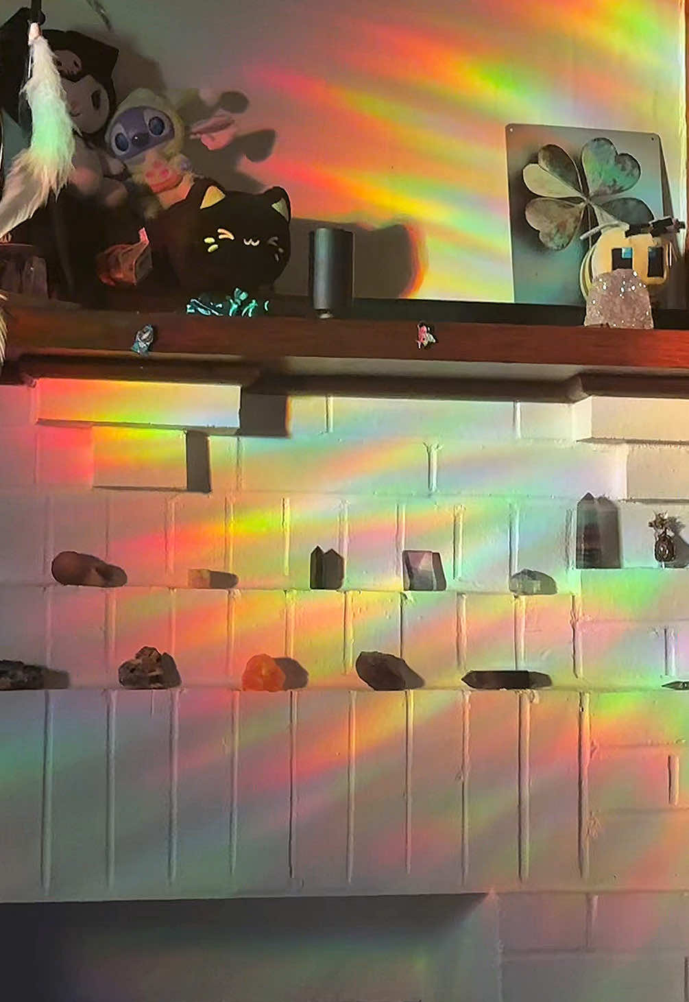 @⋆˙⟡✮&ensp;𝑻𝒊𝒈𝒆𝒓&ensp;✮⟡˙⋆