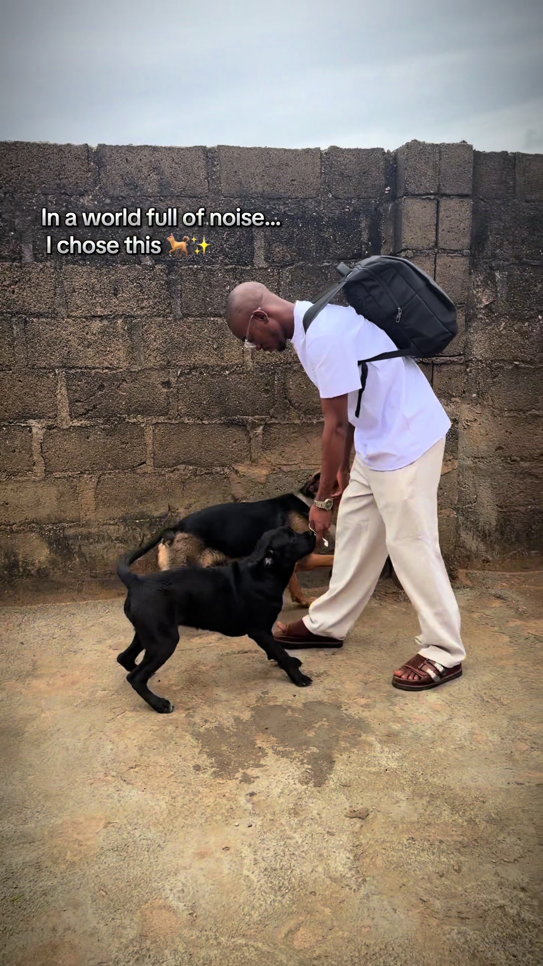 @Nala & Eshe 🦴🐶