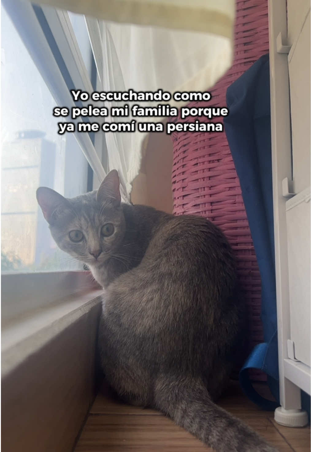 @Las Banshees