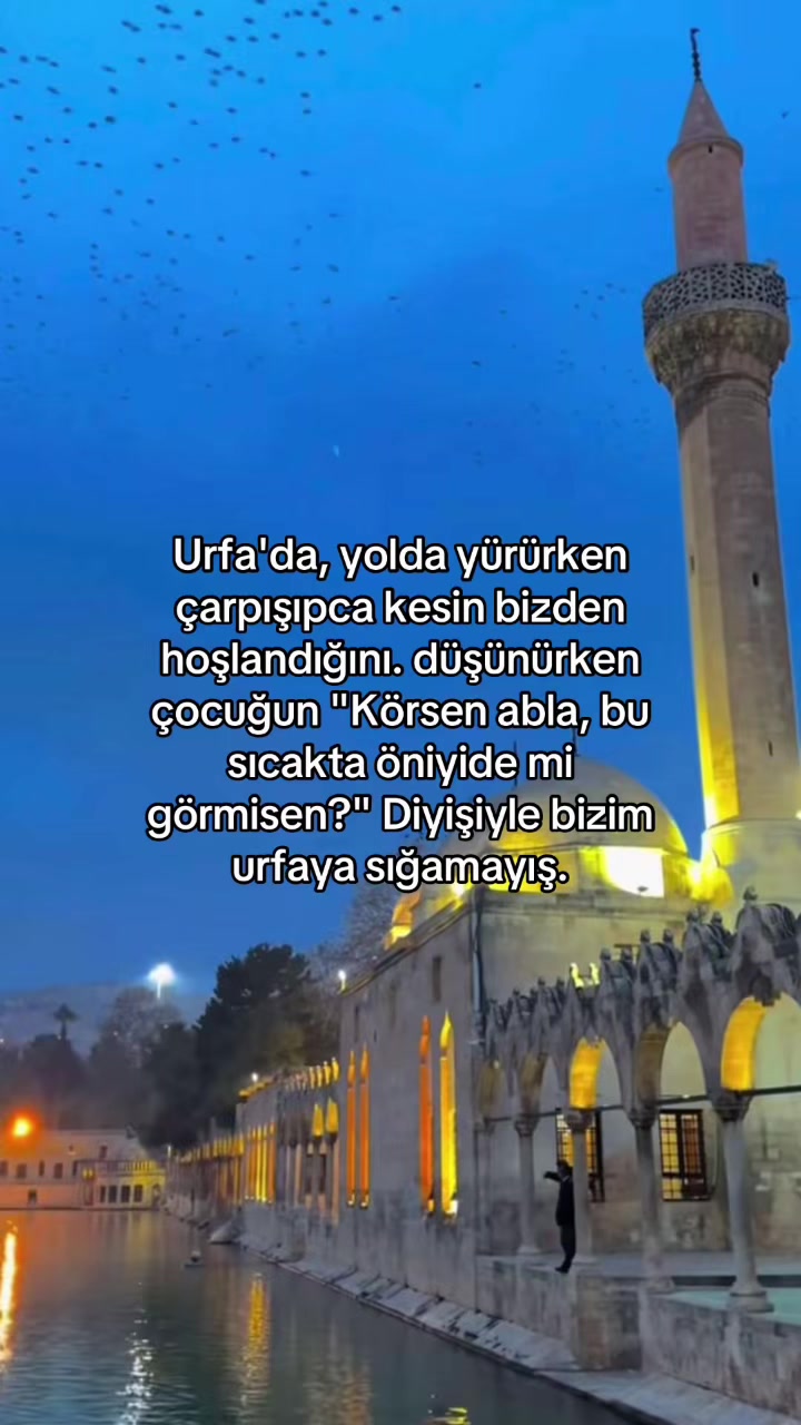 @uǝɹǝƆ 🪳