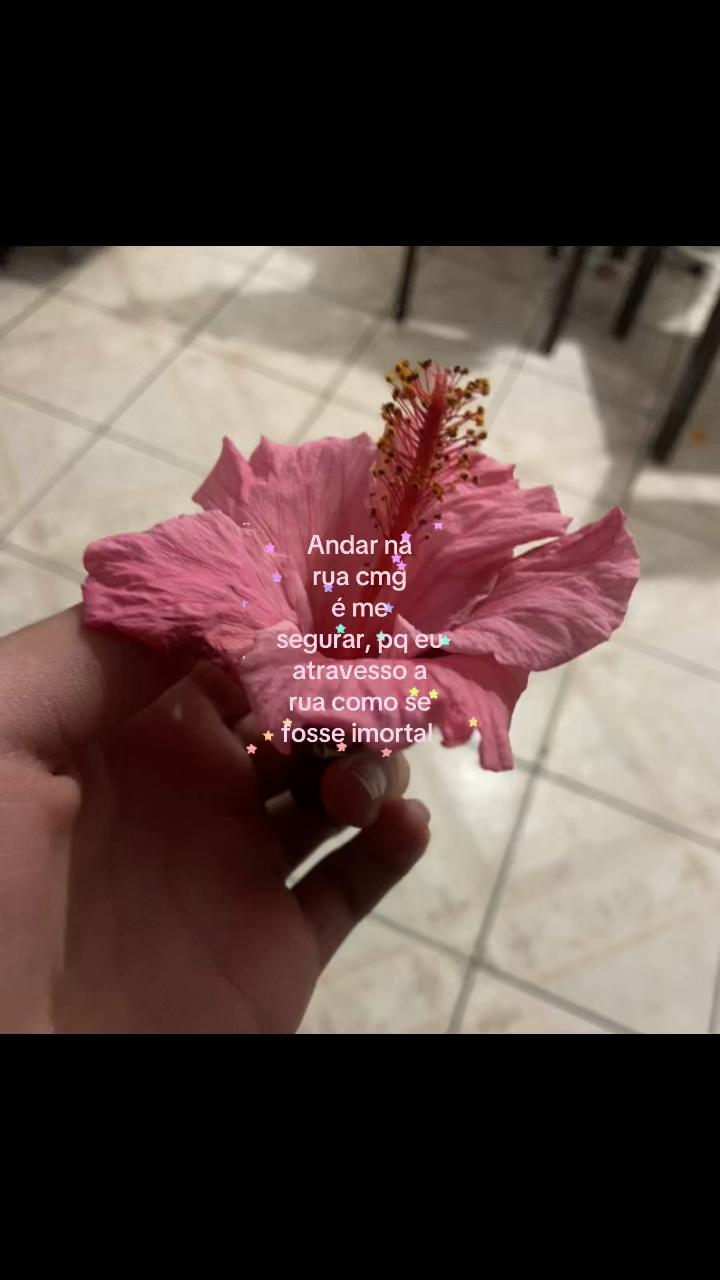 @⋆ 🎀 𝑒𝓊.𝓀𝒾𝓉𝓉𝓎 🎀💍 ⋆