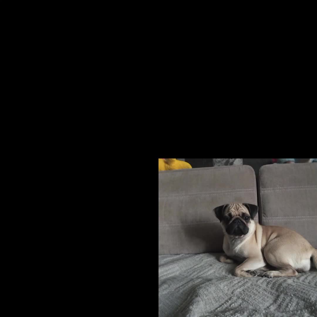 @дiкiй блiнчiк