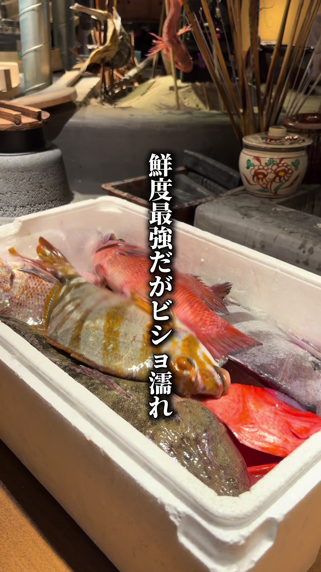 @東京ディナー【公式】