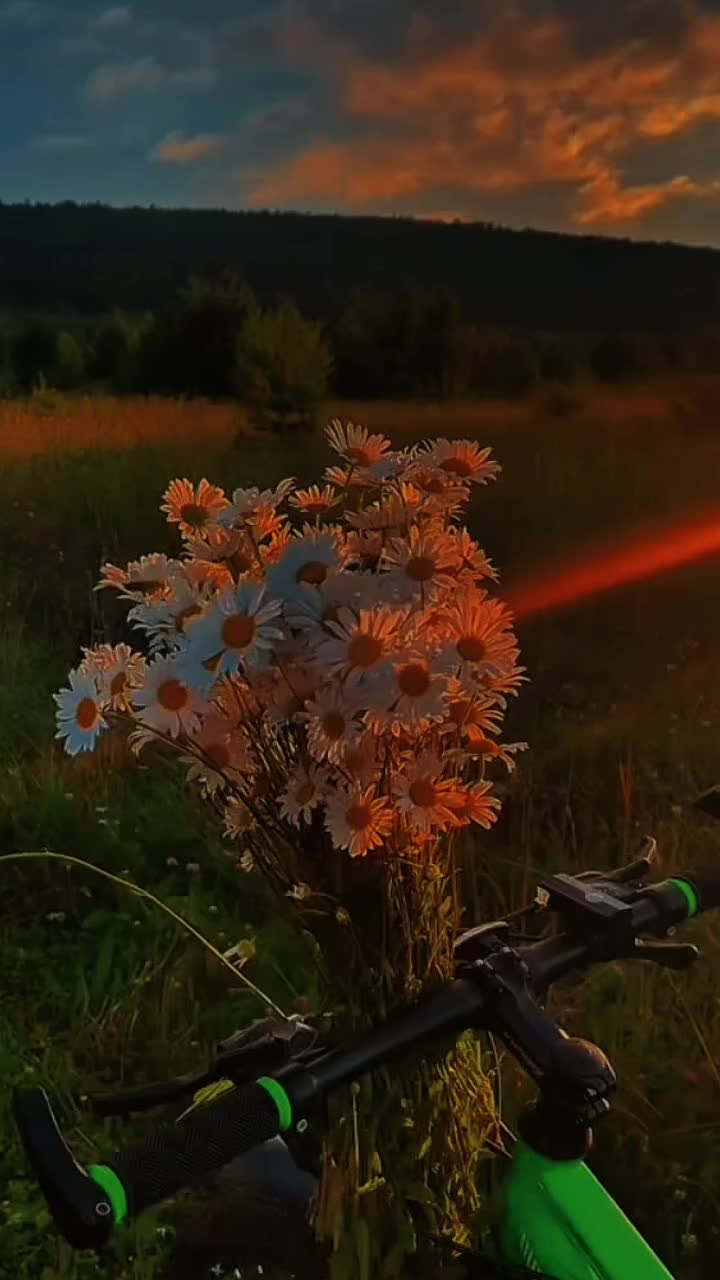 @Просто Олька