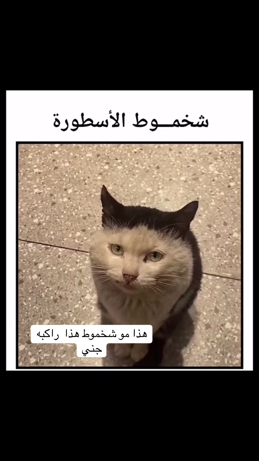 @๐๐๐๐๐๐|| ๐ธ๐ป