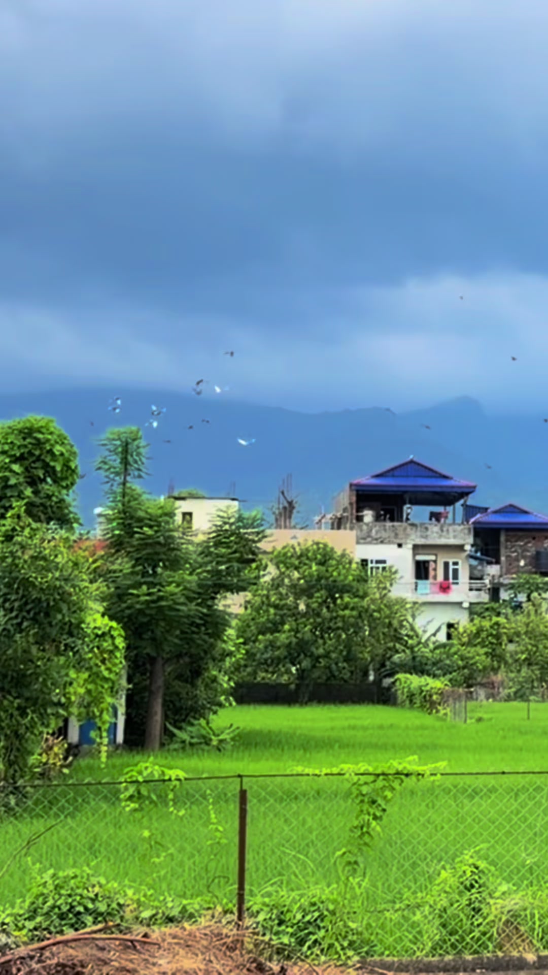 @𝑺𝒕𝒂𝒍𝒊𝒏𝒂 ✅️🇳🇵