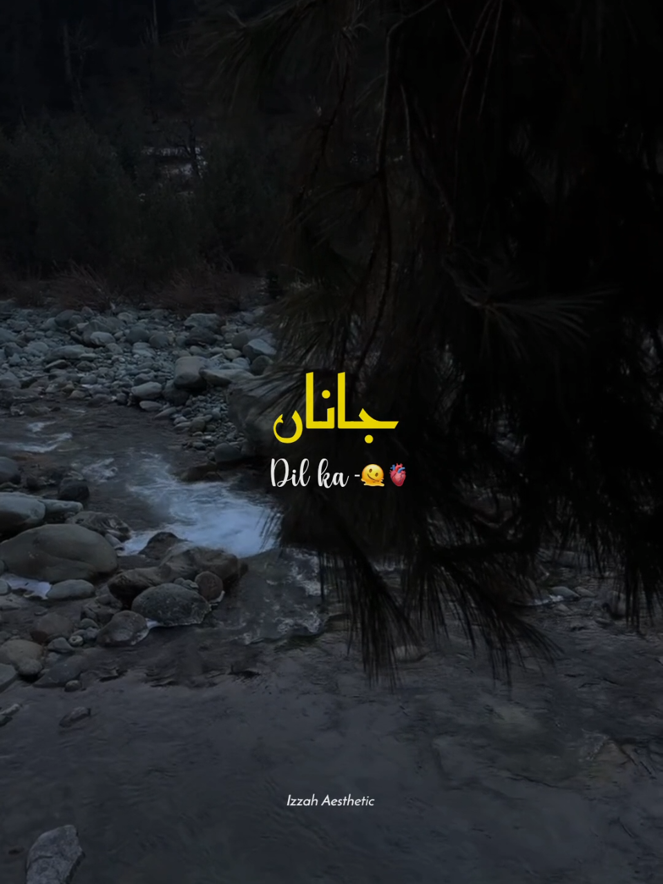 @𝙄 𝙕 𝙕 𝘼 𝙃 🕊️•