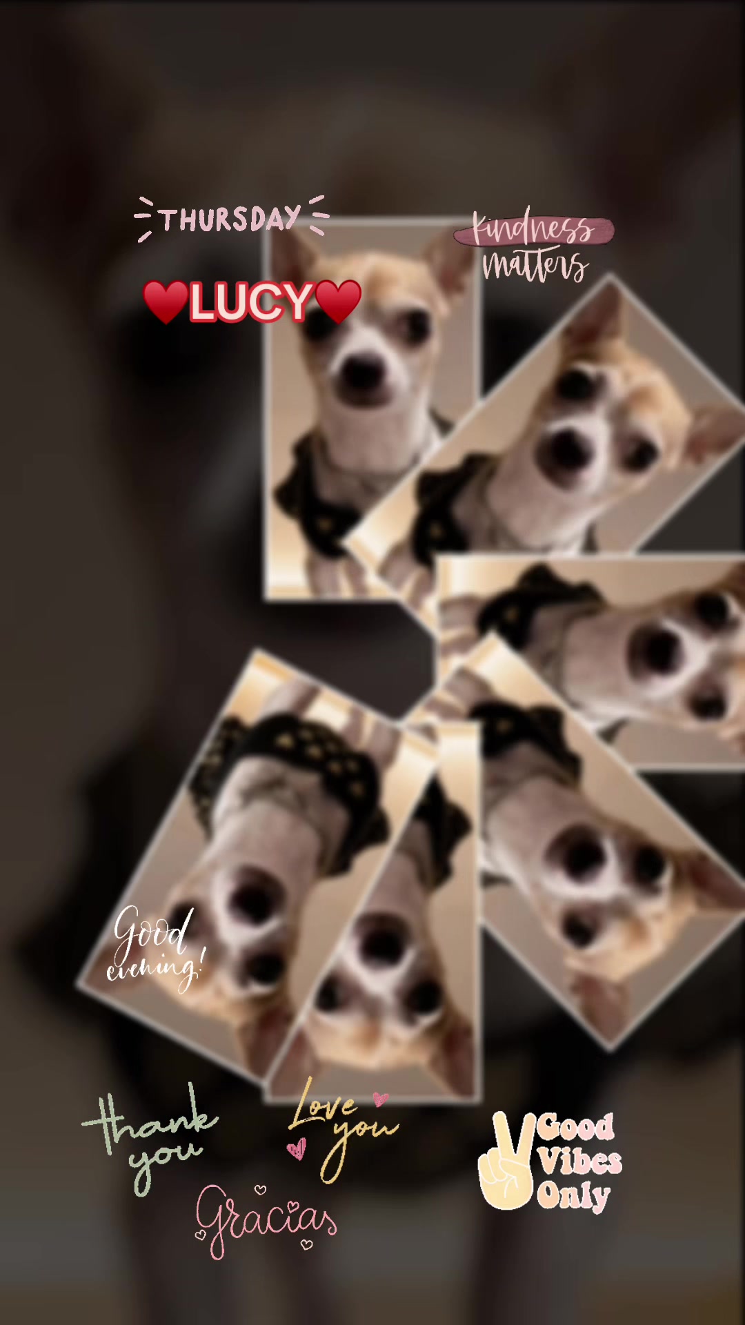 @Lucy