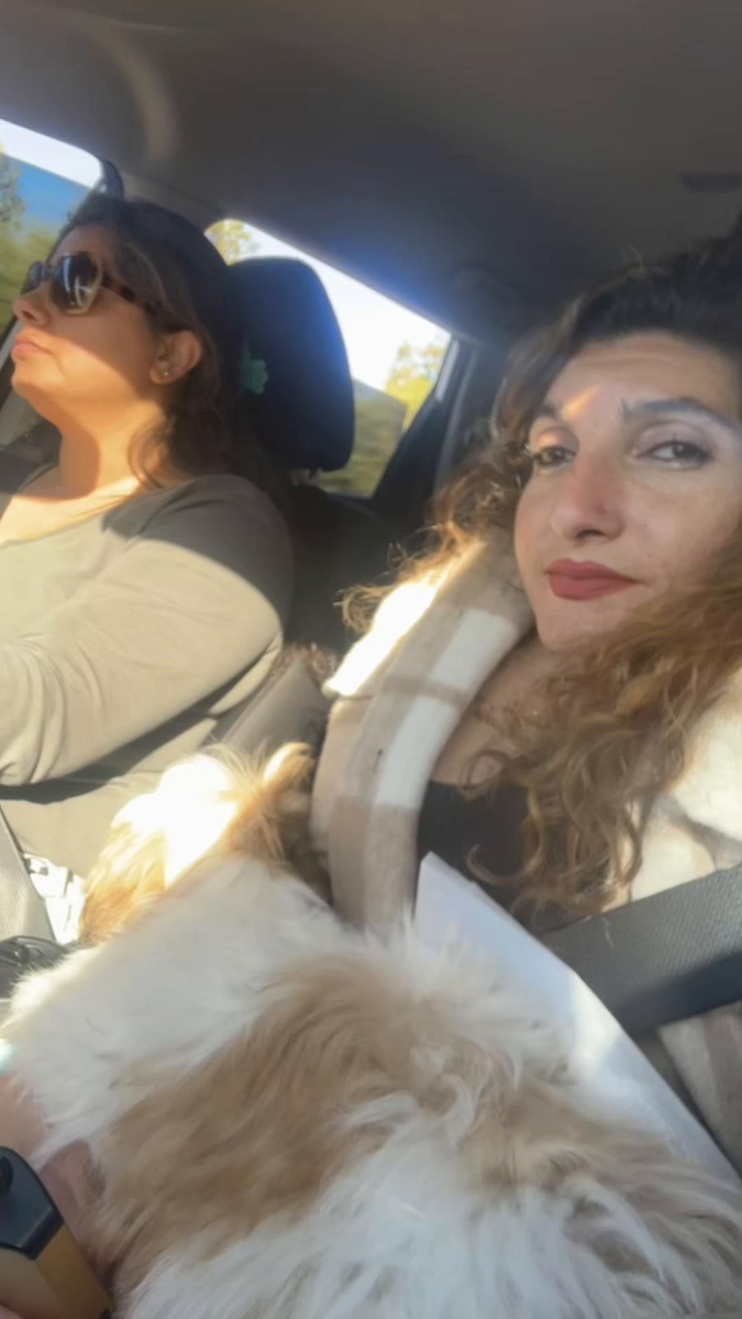 @SmileySarah32 🤡