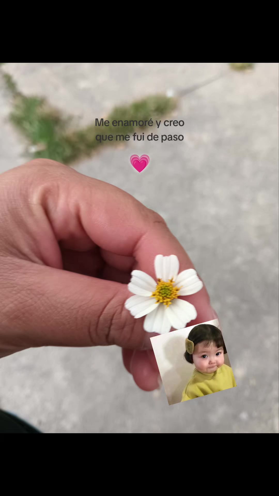 @ESTRELLA✨💗