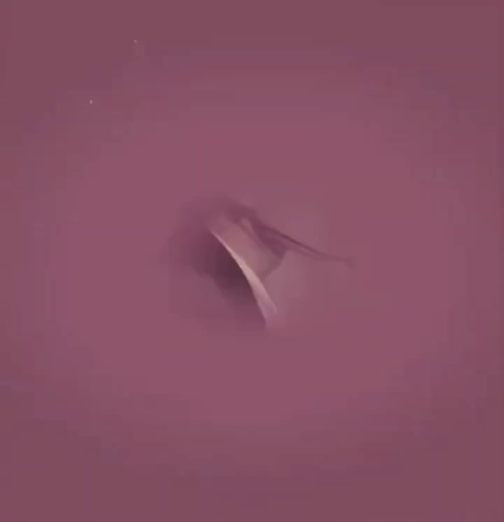 @𝓮𝓷𝓱𝓪𝓭𝓸𝓵𝓵𝔂