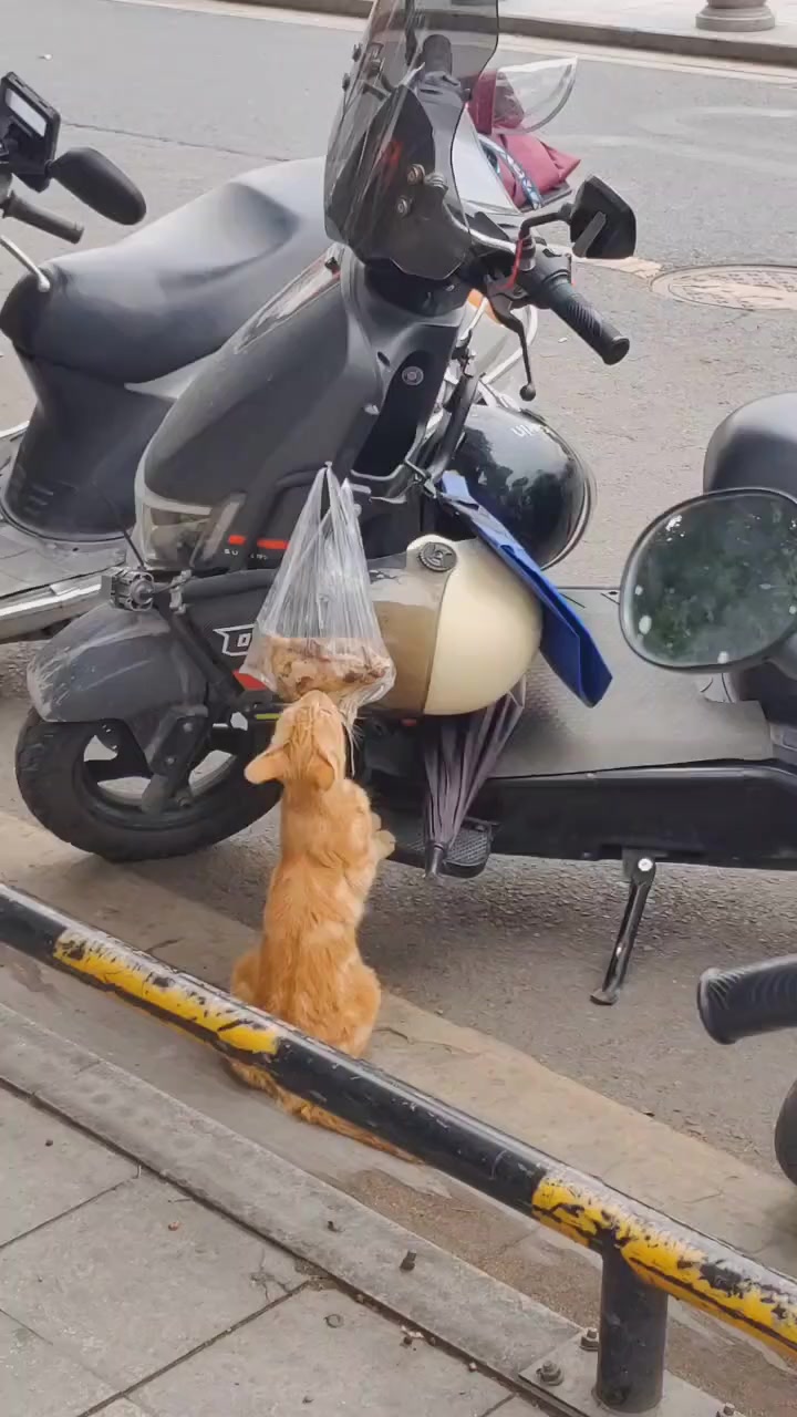 @🇲🇽MAYOREO QIHUO MÉXICO🇲🇽