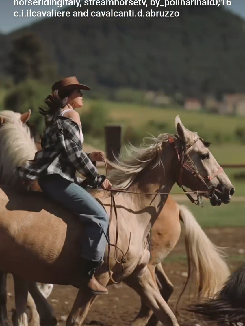 @streamhorse