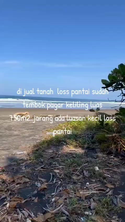 @Balinese Broker Bali