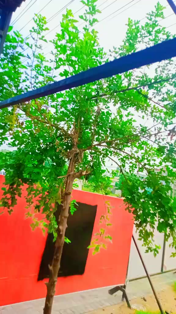 @Mubarik ali