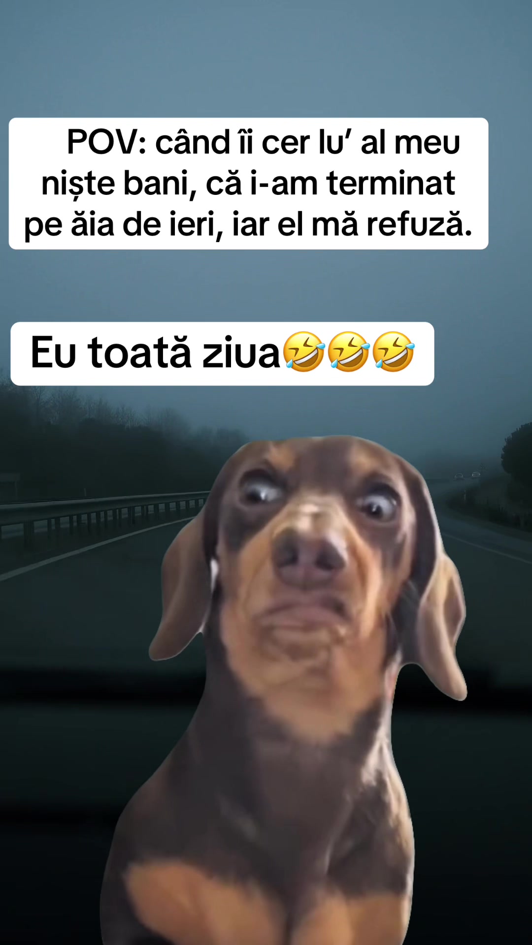 @*ð¢ðªð«ð»ðð€ð²ð©