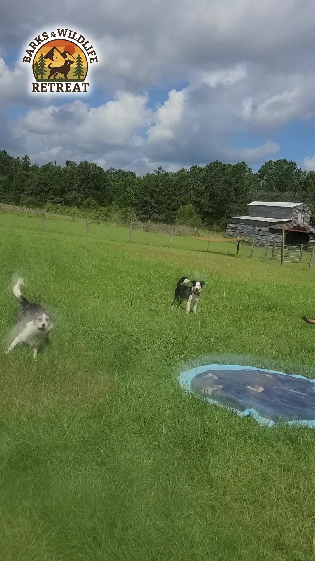 @Barks & Wildlife Longville LA