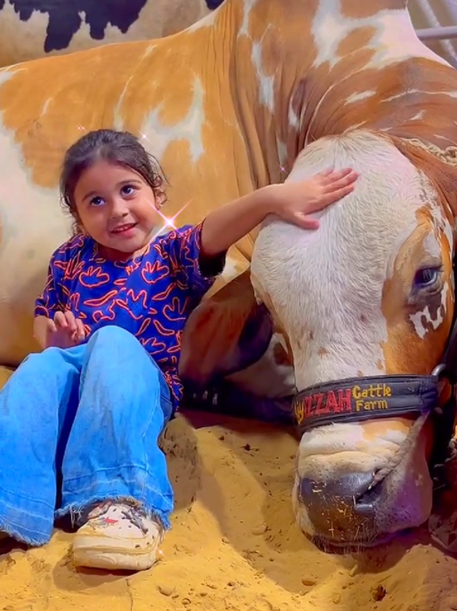 @Animals Lover Rifat