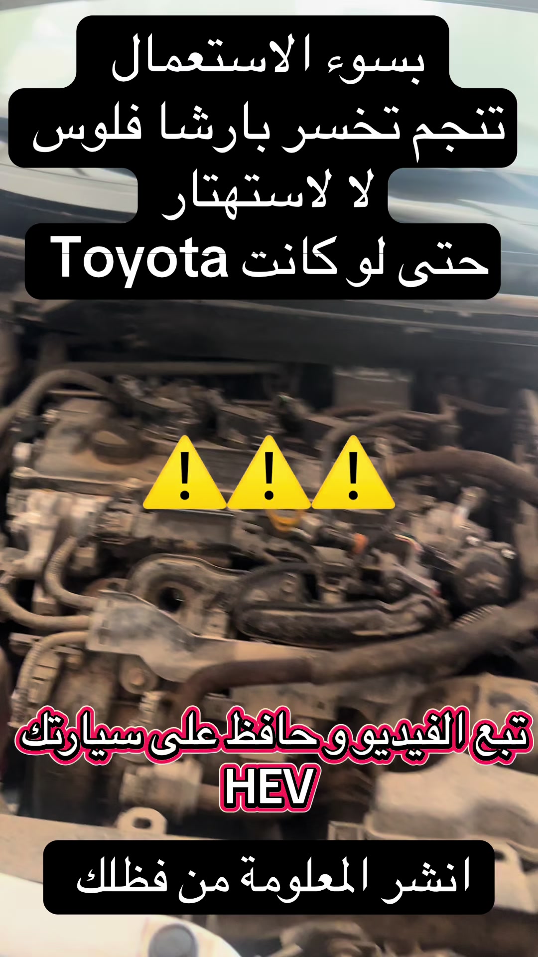 @mehdigargouri480