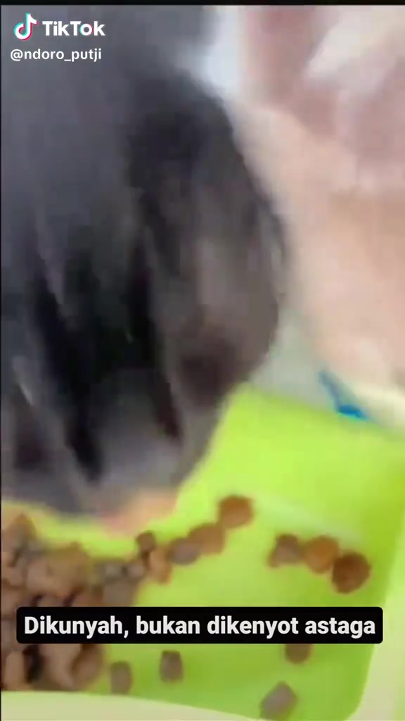 @𝔻'𝓨 🐹