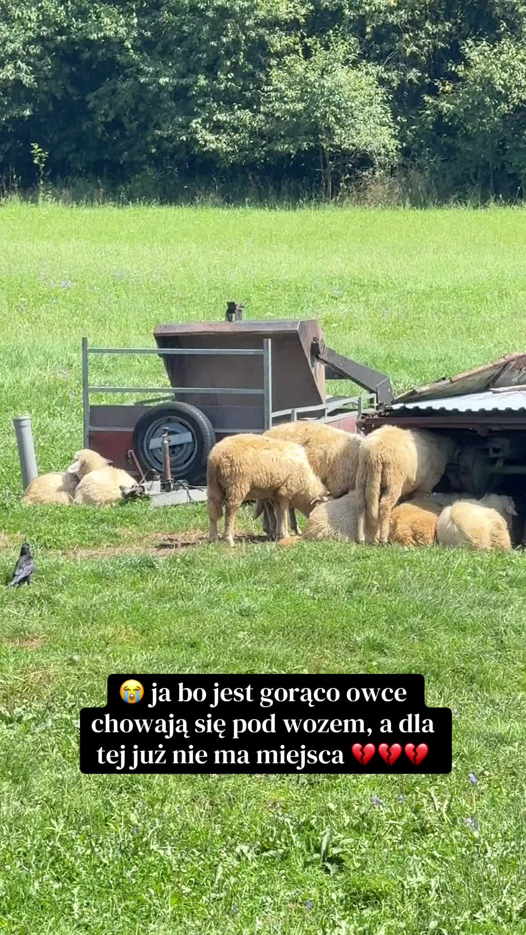 @Ewa Dunaj