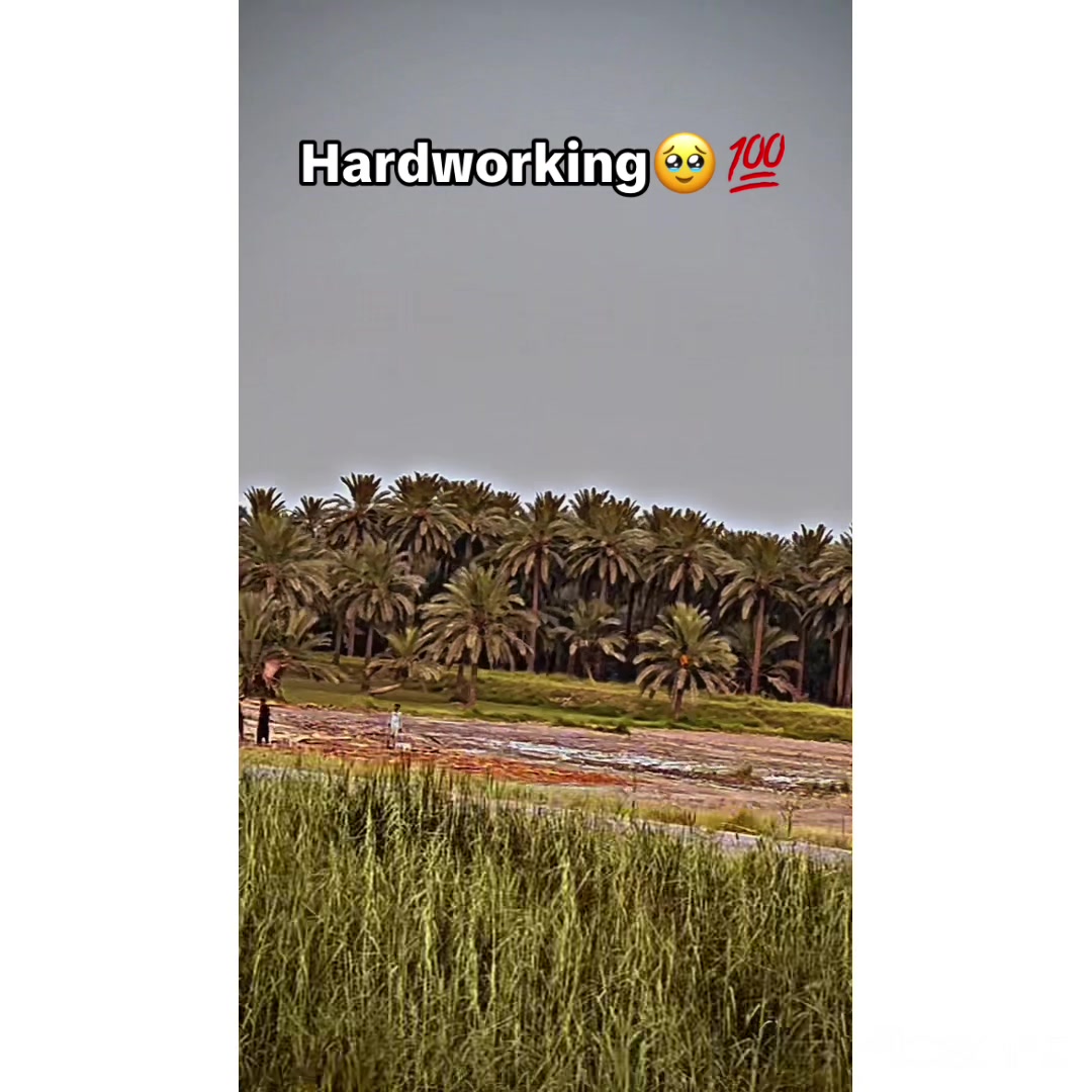 @Fida🥷🏻🚩