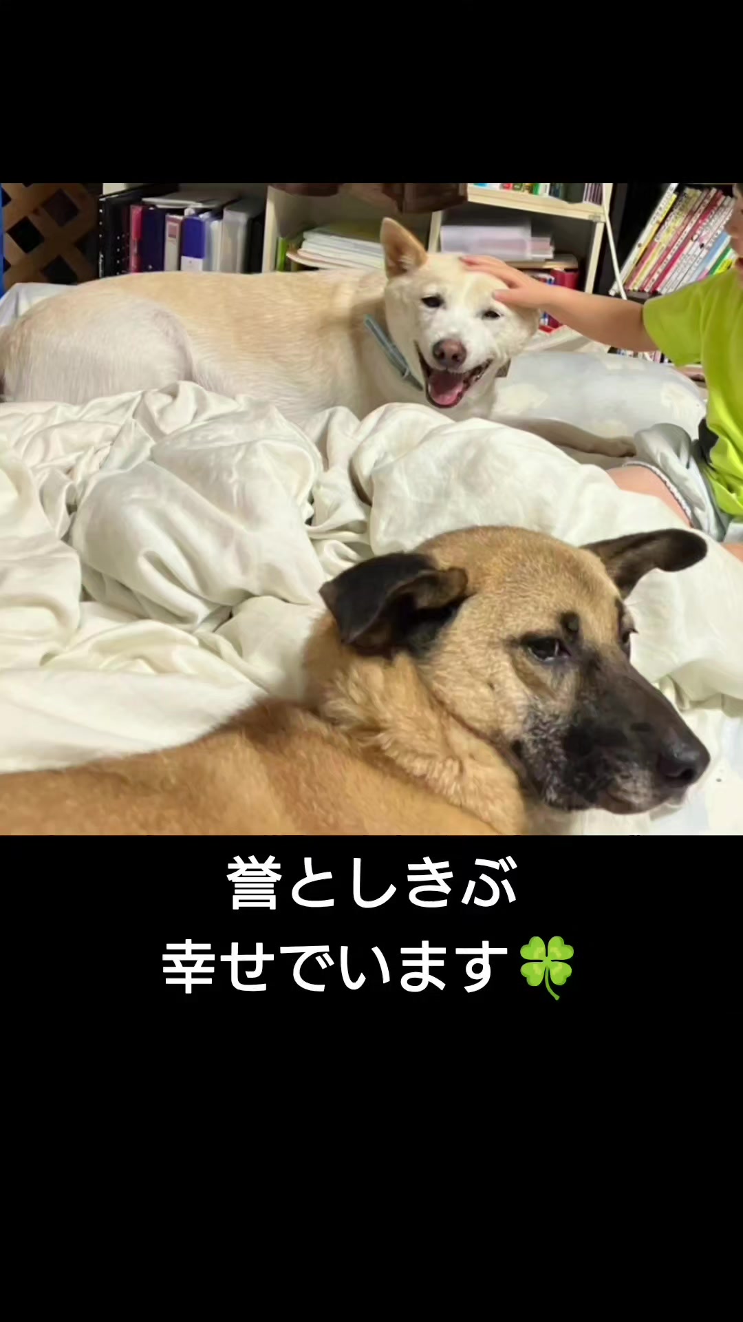@まあくんハウス