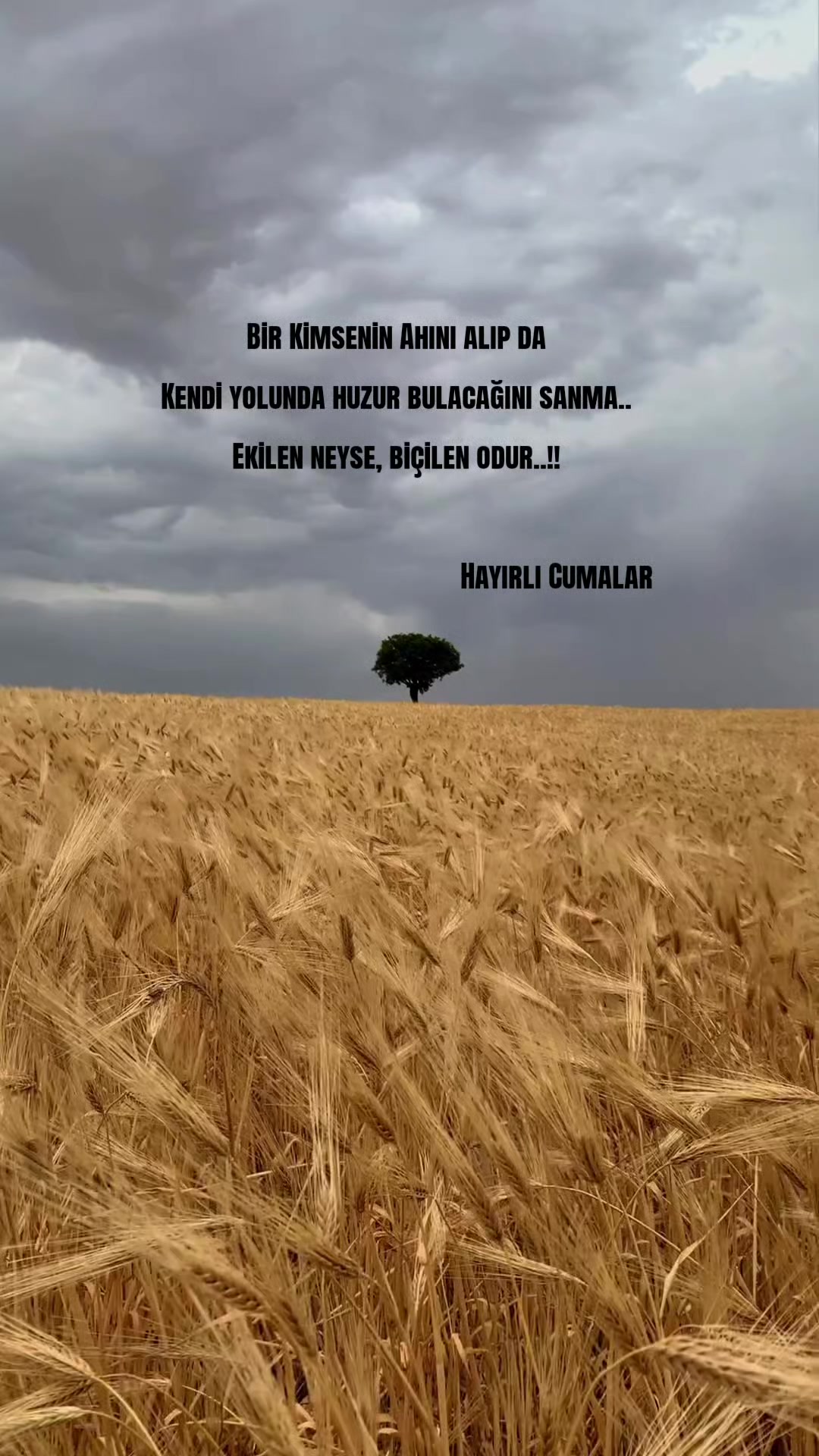 @tekbirr_Allah