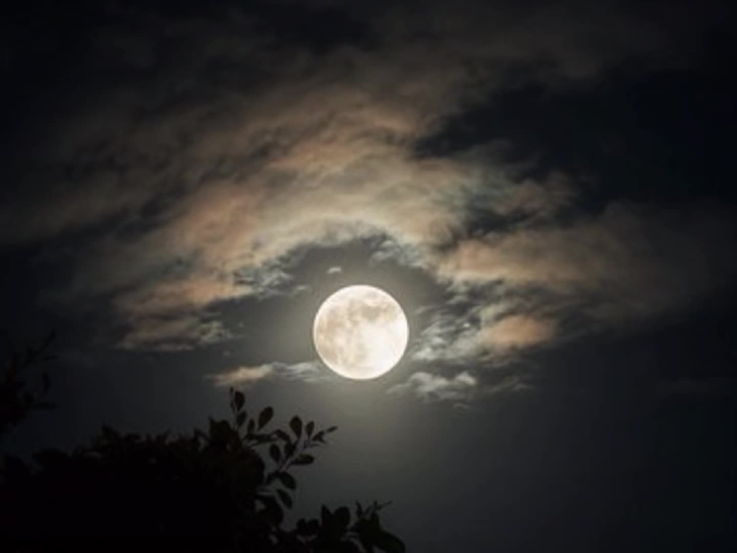 @Night_sky