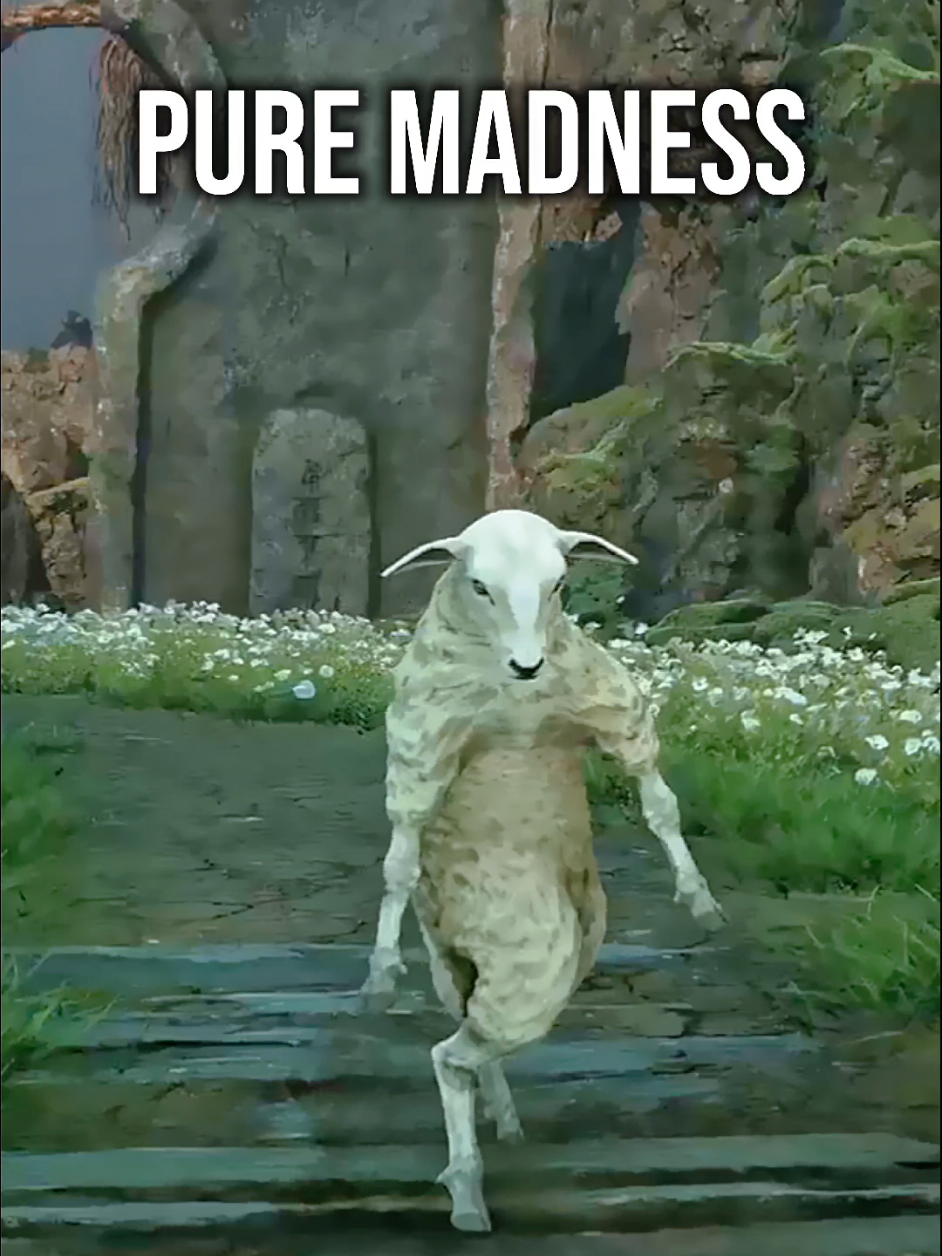 @SavageTime