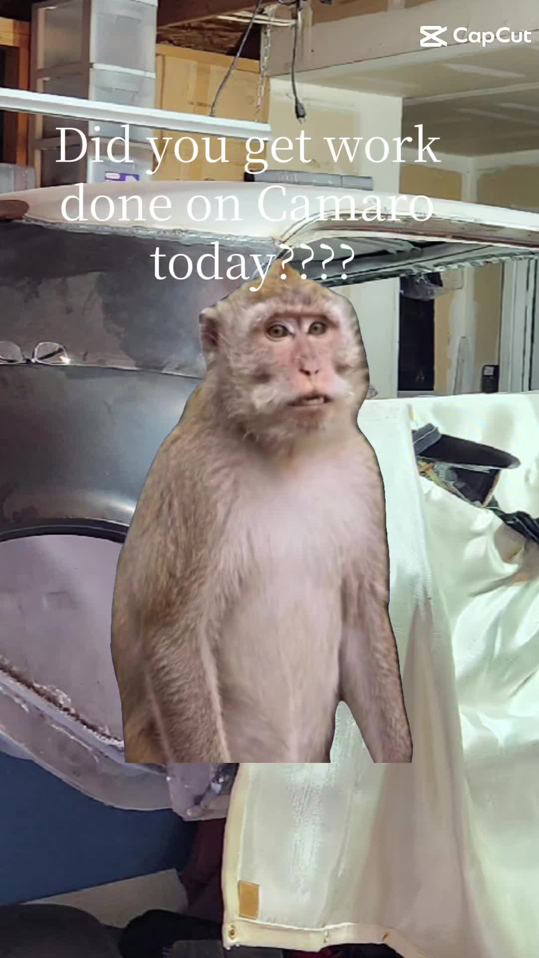 @chriscustoms