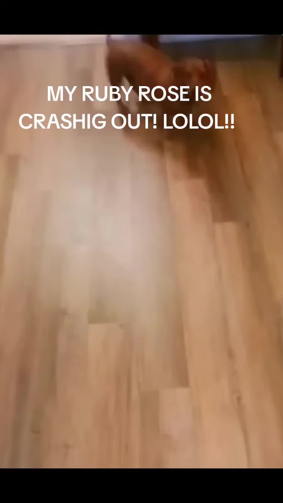 @Aria