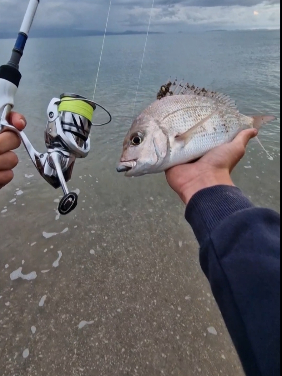@Trav🎣