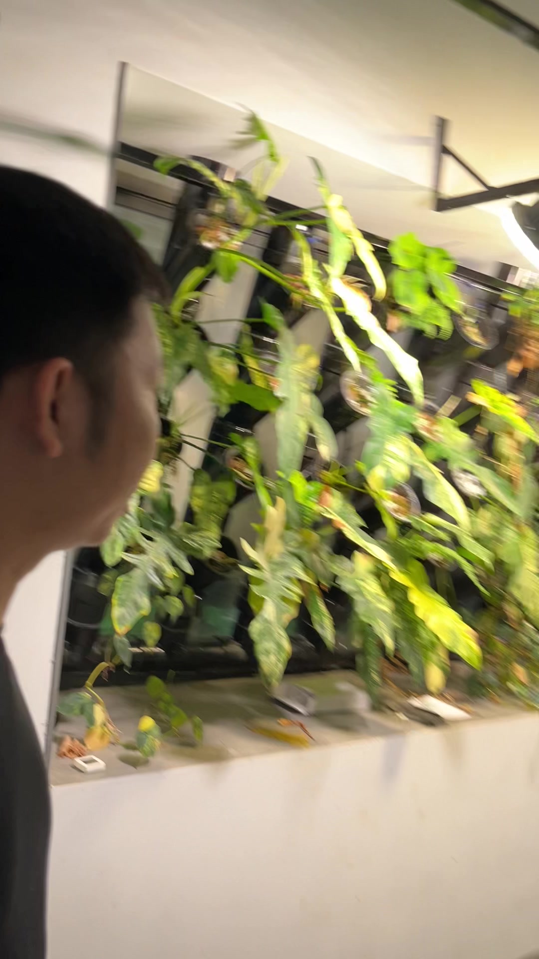 @Huy Kiểng L&aacute;