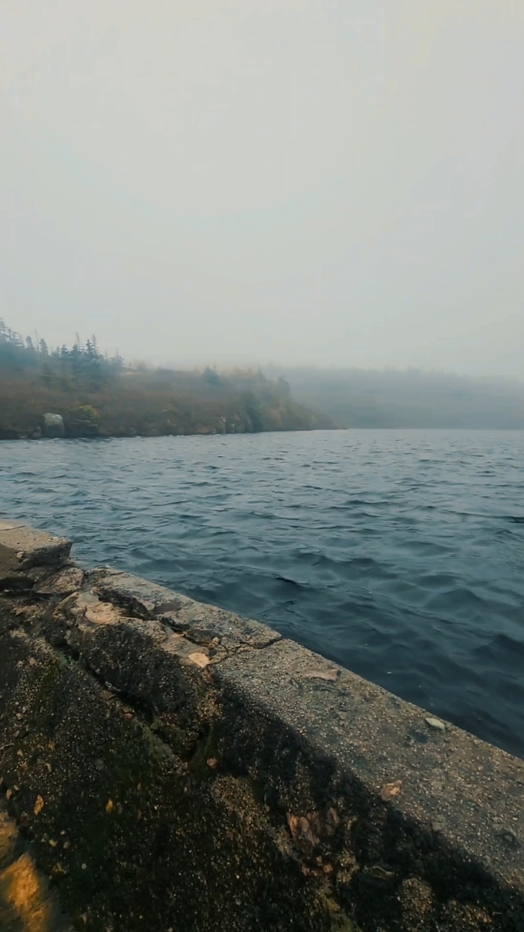 @NLGIRL🇨🇦