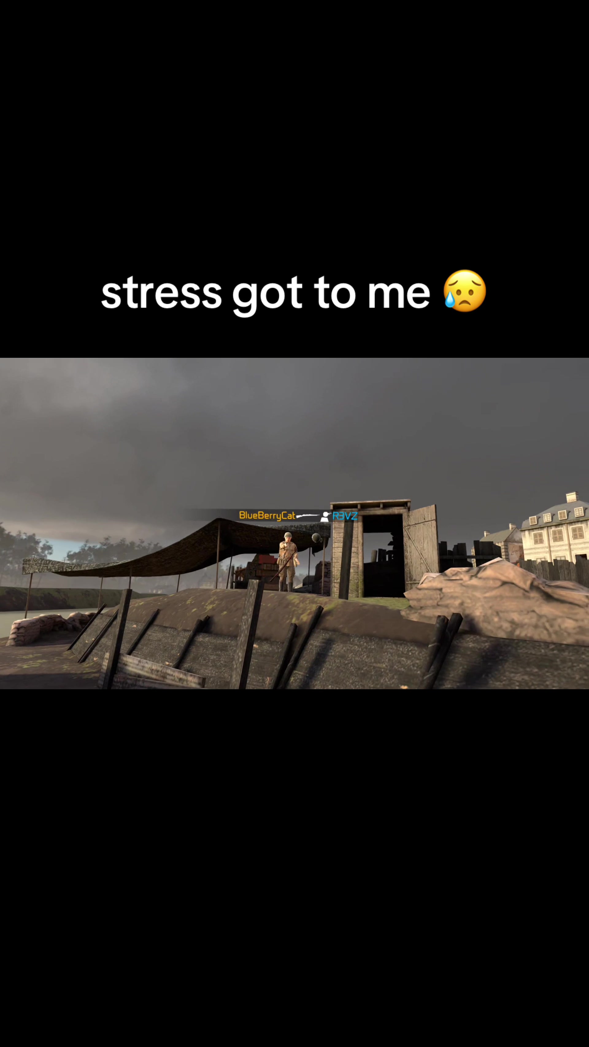 @Blueberrycat