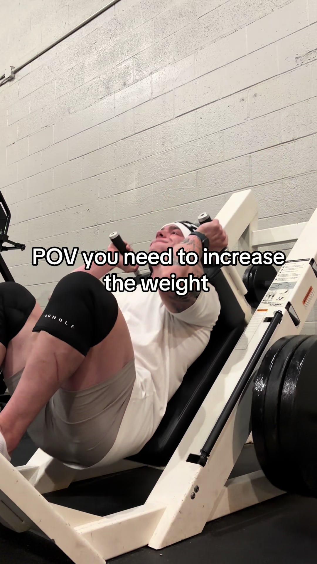 @AlexVanBfit2.0