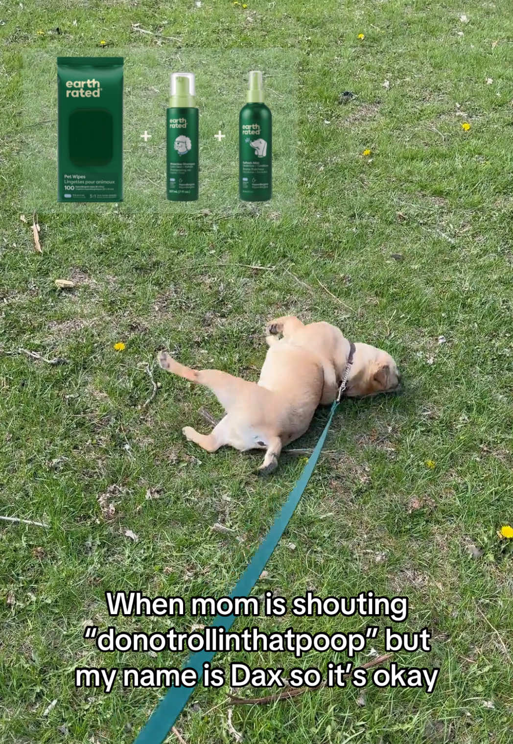 @earthrated