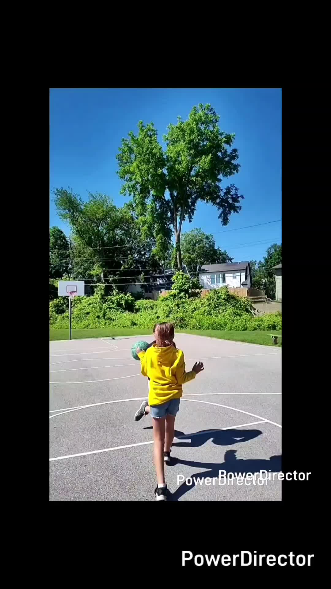 @basketball_champion013