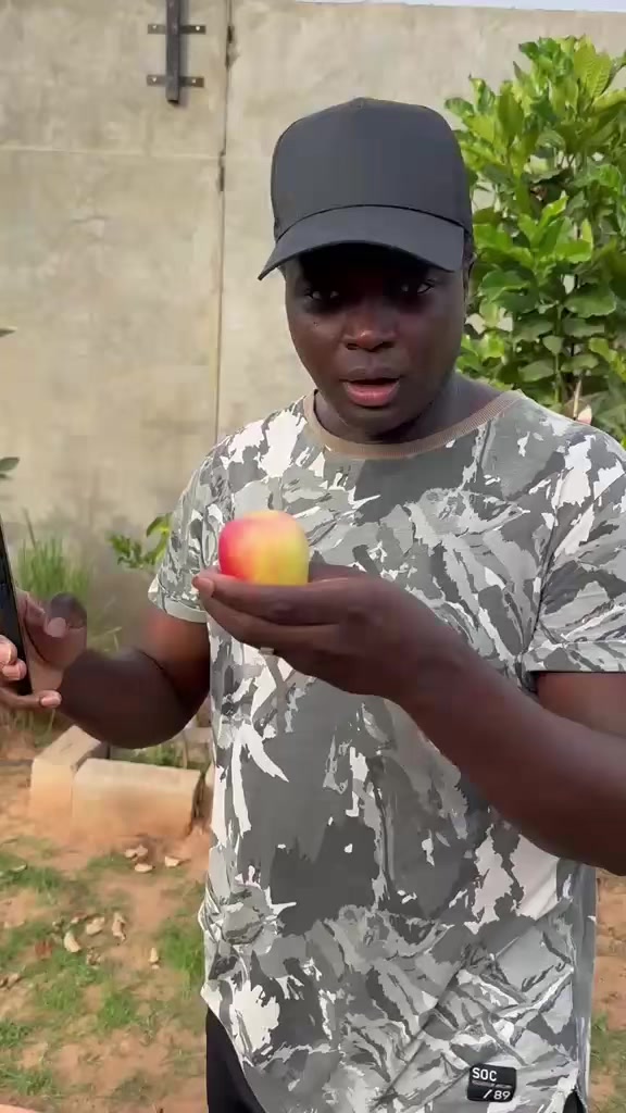 @Janda Farms 🇬🇲